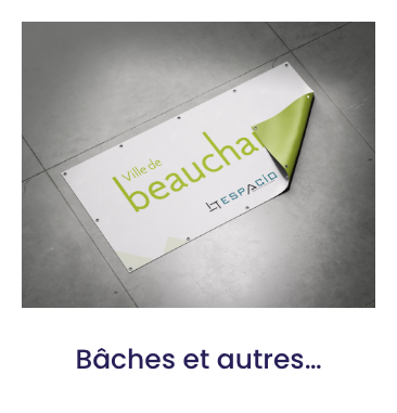 B&acirc;ches